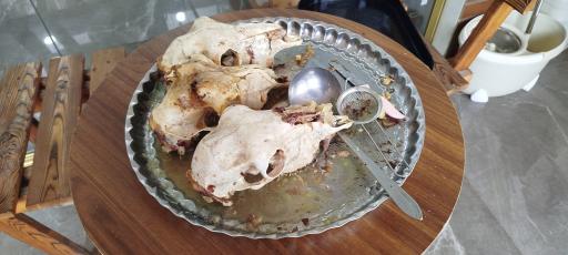 عکس طباخی تی تی