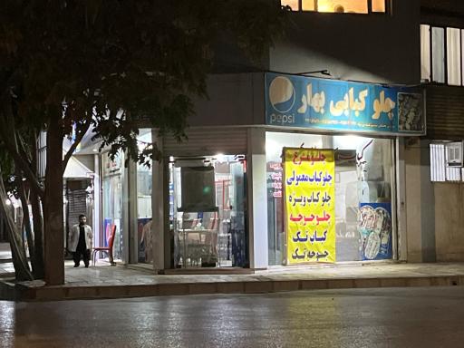 عکس کباب بهار