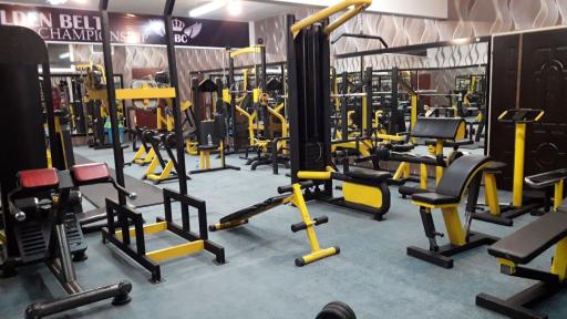 عکس مجموعه ورزشی کمربند طلایی 