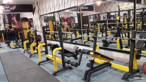 عکس مجموعه ورزشی کمربند طلایی 