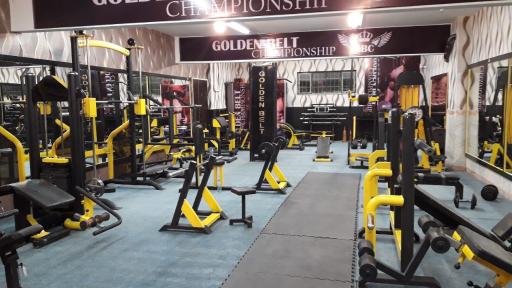 عکس مجموعه ورزشی کمربند طلایی 