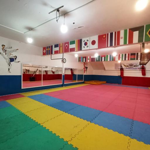 عکس مجموعه ورزشی کمربند طلایی 