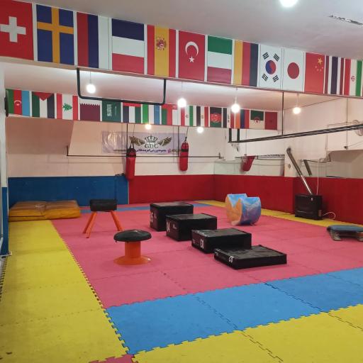 عکس مجموعه ورزشی کمربند طلایی 