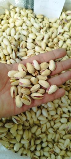 عکس آجیل و خشکبار حسین وندی