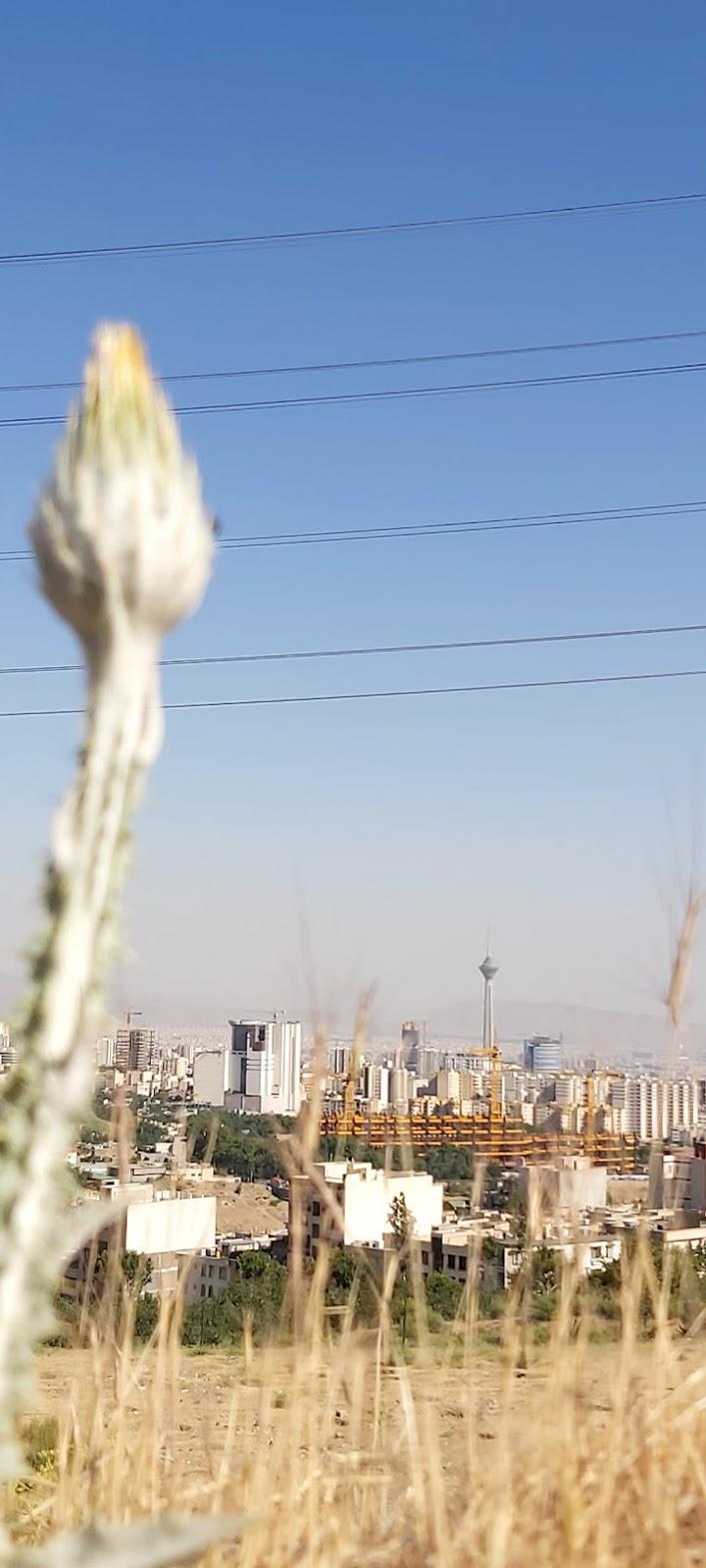 عکس بام پونک