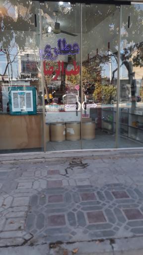 عکس عطاری طب الرضا