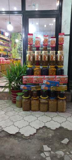 عکس زیتون سرای گیلانه