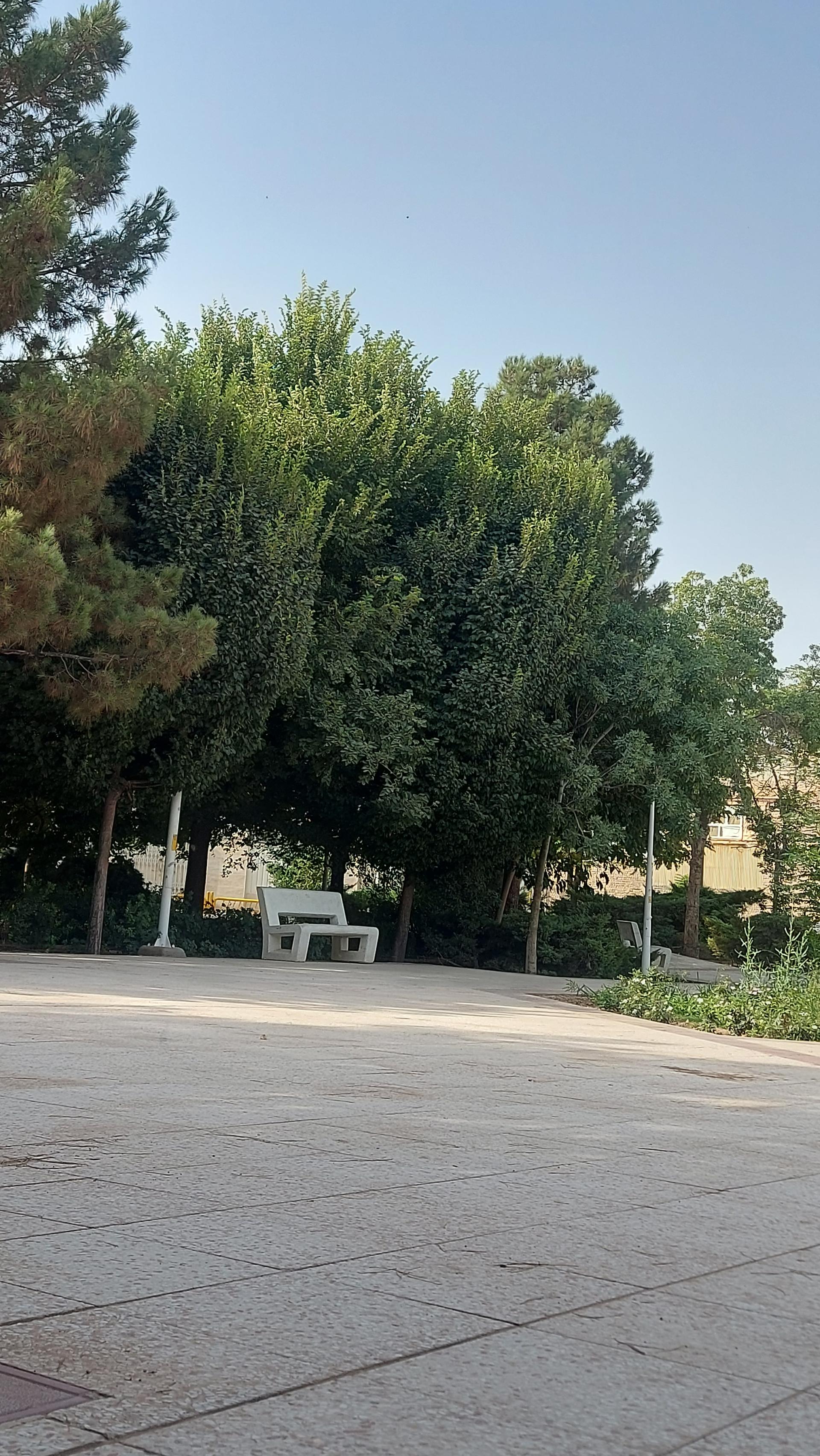 عکس بوستان اطلس