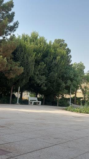 عکس بوستان اطلس