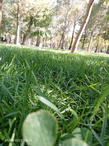 عکس پارک کوه سنگی