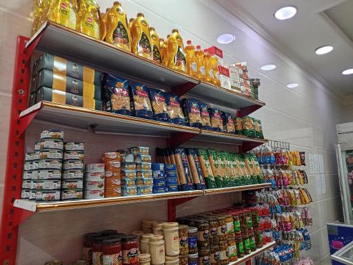 عکس هایپر پروتئین تیک