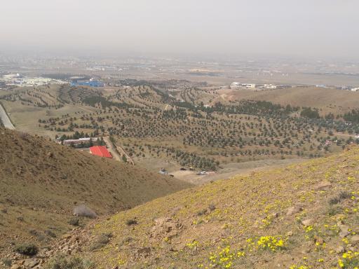 عکس کمال شهر