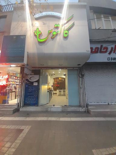 عکس دکوراسیون کاکتوس 