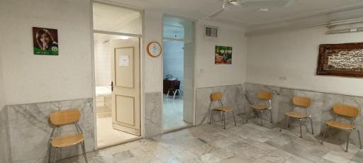 عکس دکتر منیره سید هاشمی (طب سنتی ایرانی)