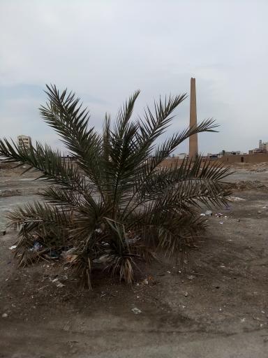 عکس کوره آجر پزی