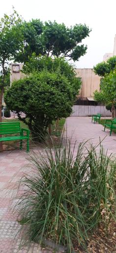 عکس پارک پویش