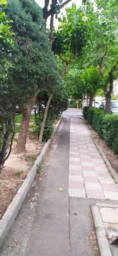 عکس پارک پویش