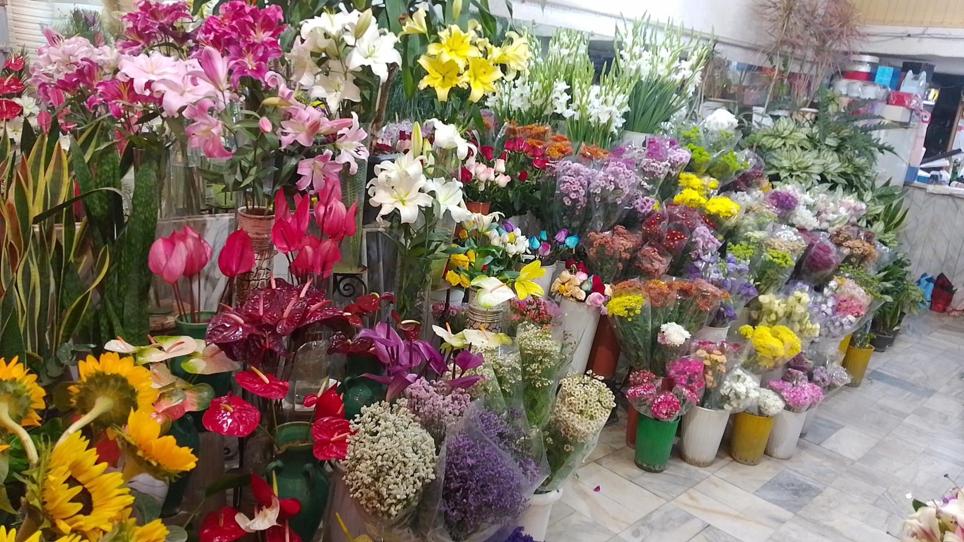 عکس گل فروشی گل سنگ