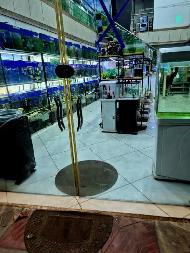 آکواریوم ساحل