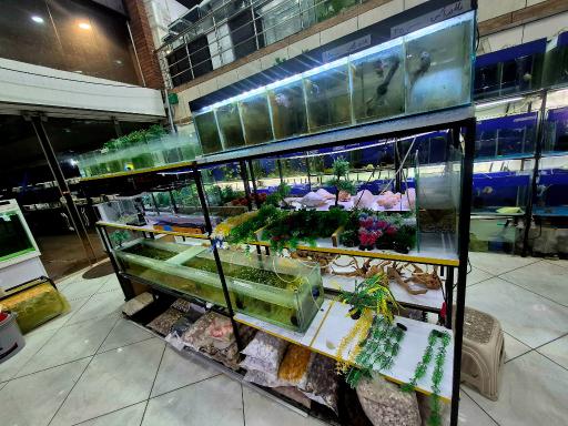 آکواریوم ساحل