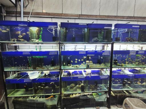 عکس آکواریوم ساحل