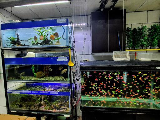 عکس آکواریوم ساحل