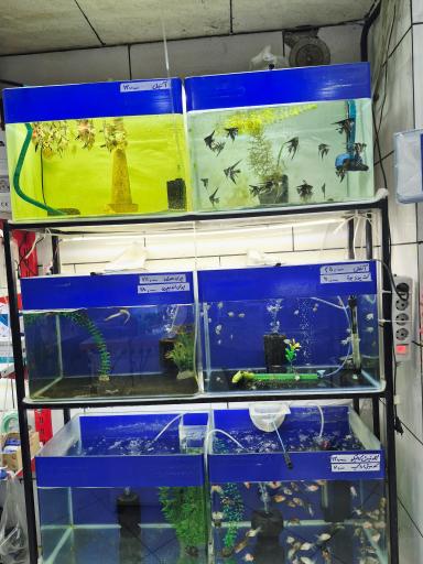 عکس آکواریوم ساحل