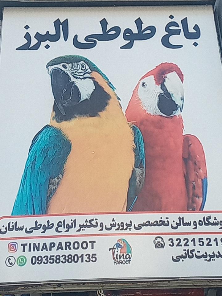 عکس باغ طوطی البرز