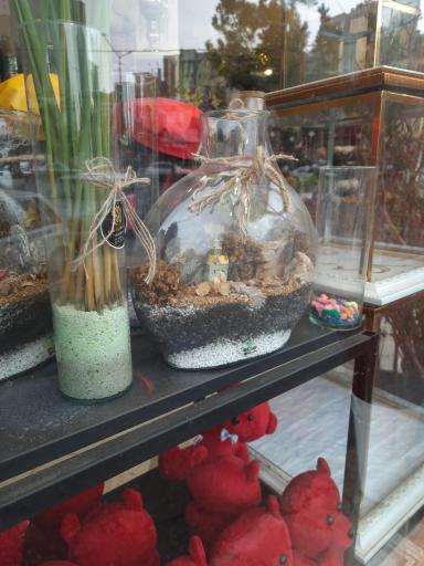 عکس گل سفارت سبز