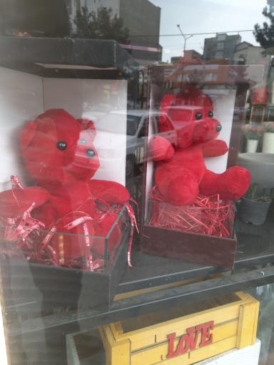 عکس گل سفارت سبز