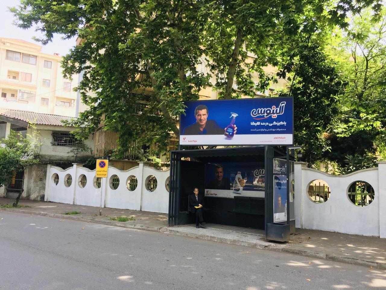 عکس مجتمع کاکتوس