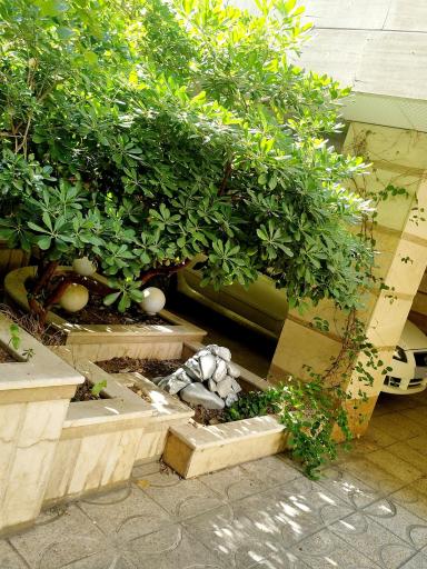 عکس مجتمع پارسیان 12و13