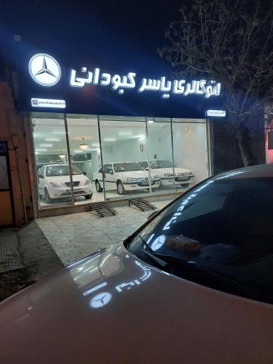 نمایشگاه یاسرکبودانی