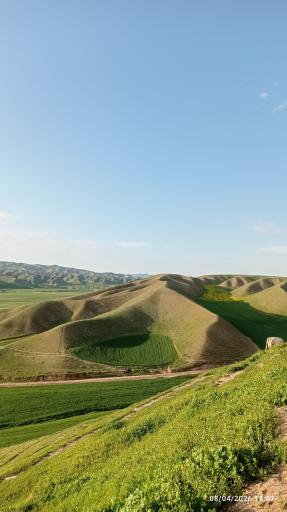 عکس گلستان
