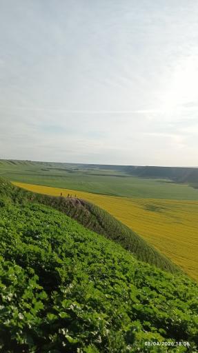 عکس گلستان