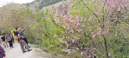 عکس آبشار کبوتر خوان
