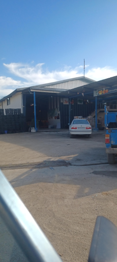 عکس سورتینگ بهارنارنج