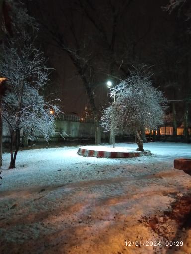 عکس پارک ولیعصر