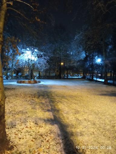 عکس پارک ولیعصر