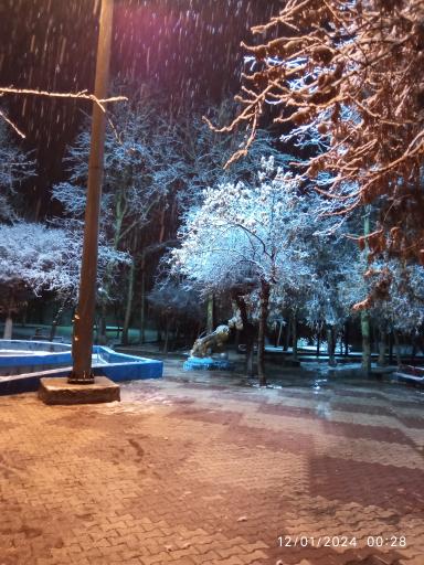 عکس پارک ولیعصر