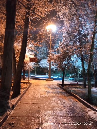 عکس پارک ولیعصر