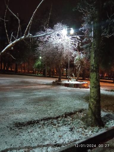 عکس پارک ولیعصر