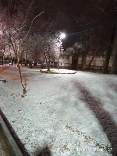 عکس پارک ولیعصر