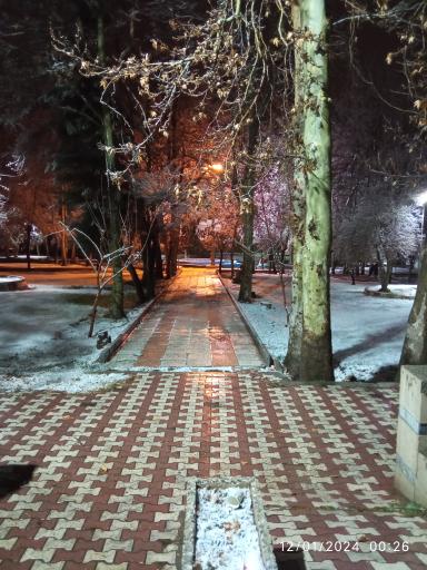 عکس پارک ولیعصر