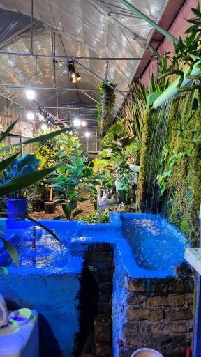 عکس گلخانه آسمان سبز