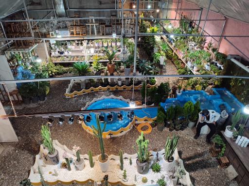 عکس گلخانه آسمان سبز