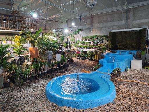 عکس گلخانه آسمان سبز