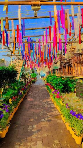 عکس گلخانه آسمان سبز