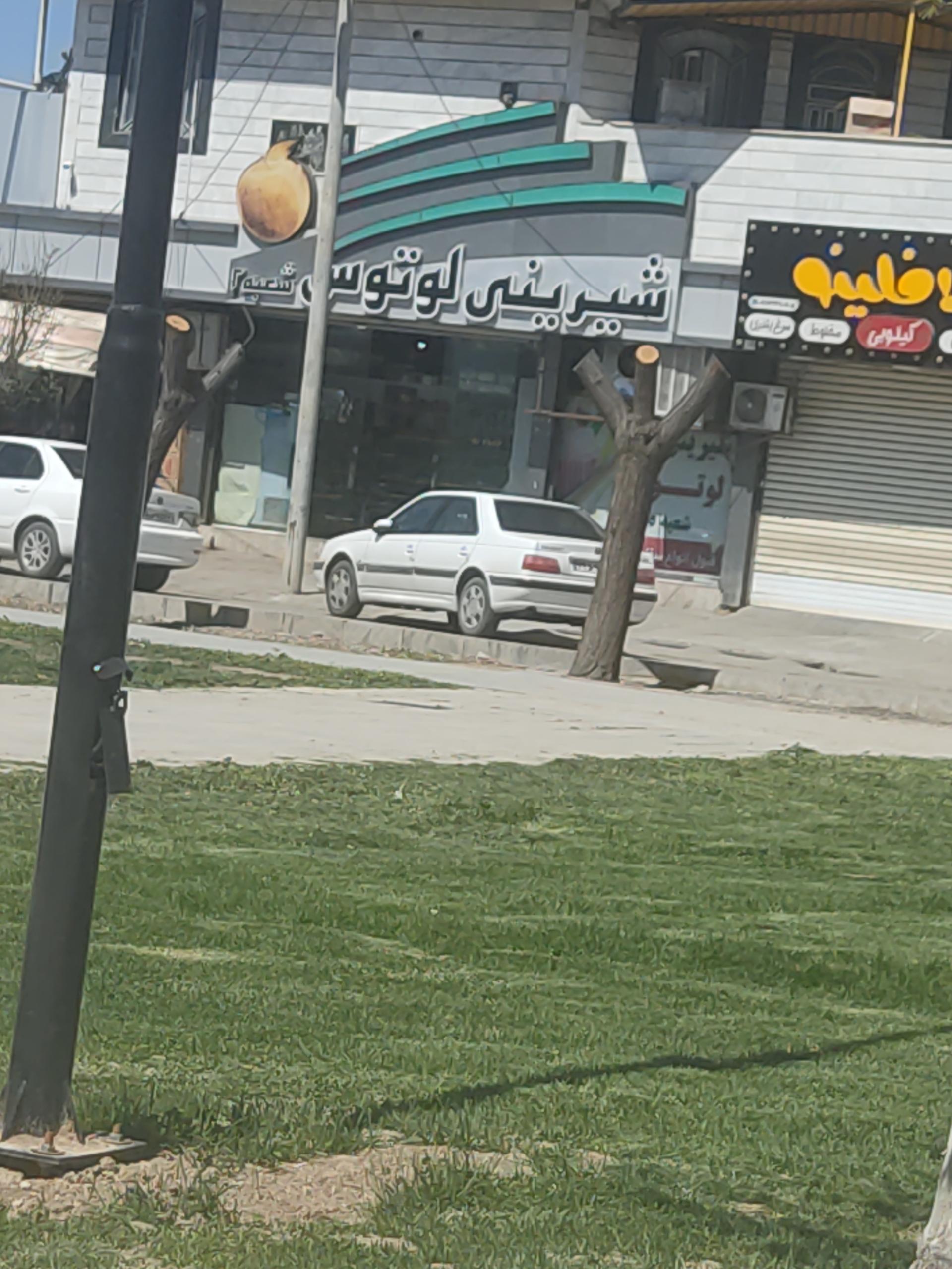عکس شیرینی لوتوس