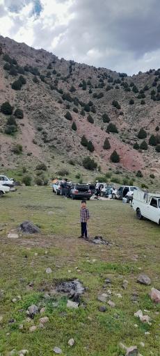 عکس پلنگ آبه
